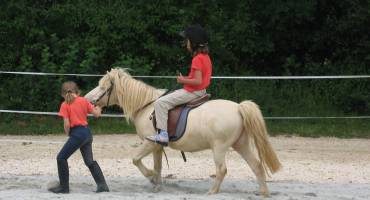 Poney