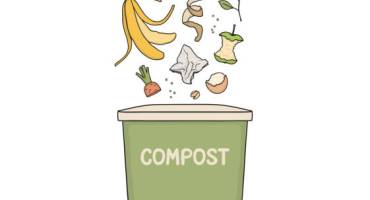 Compost