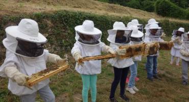 Les enfants apiculteurs