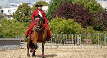 Recreation Equestre