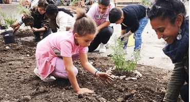 agri urbaine