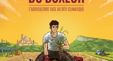 Affiche du film LA THÉORIE DU BOXEUR