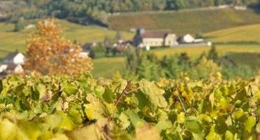 Une journée en Champagne