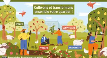 Projet d’agriculture urbaine au Buisson