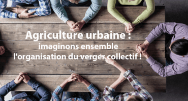 Agriculture urbaine : imaginons ensemble l'organisation du verger collectif !