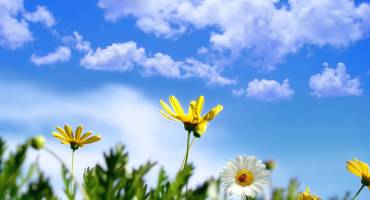 Printemps