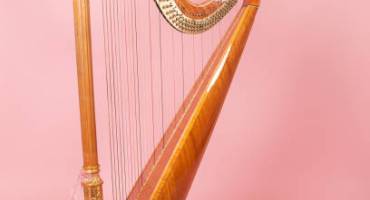 Harpe et violoncelle