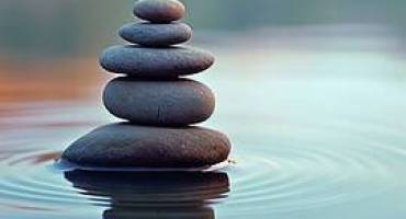 zeN 