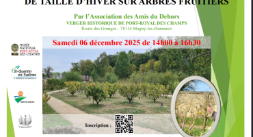 Démonstration taille hiver verger 06 12 2025