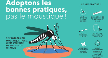 Bonnes pratiques contre le moustique