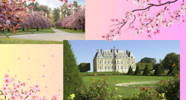 Visite château de sceau