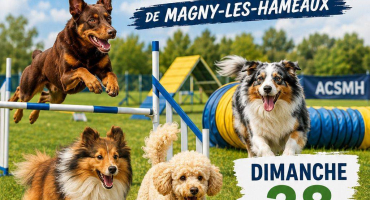 concours Agility 2026