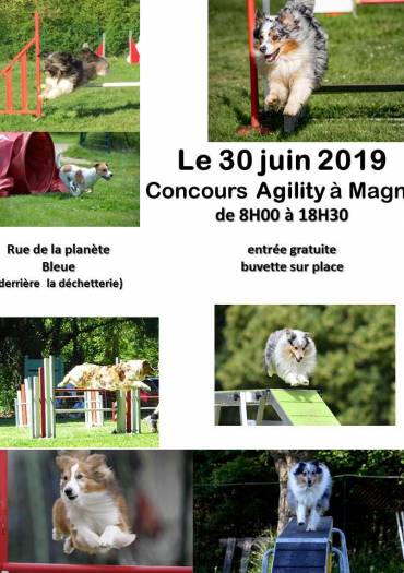 Concours annuel d'agility