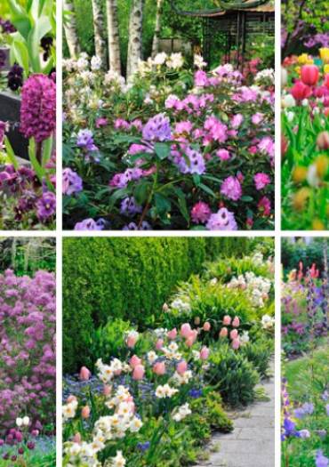 Bon plan pour fleurir son jardin !