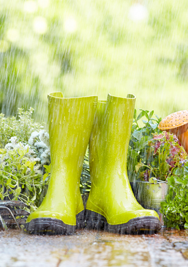 Jardinage