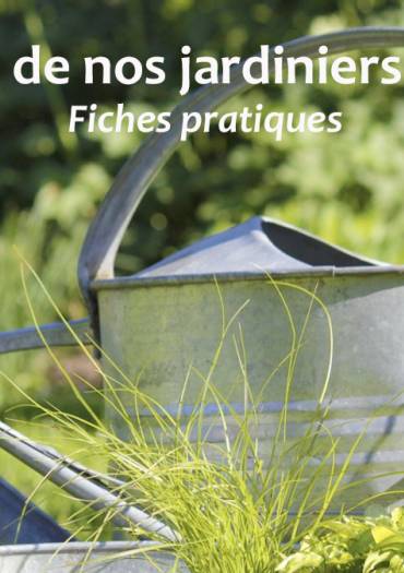 Conseils des jardiniers