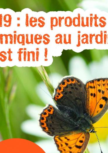 Produits chimiques interdits