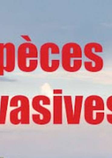 Espèces invasives