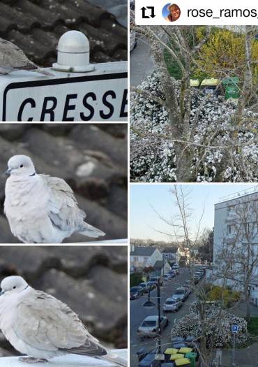 Concours photo "Magny-les-Hameaux de ma fenêtre"