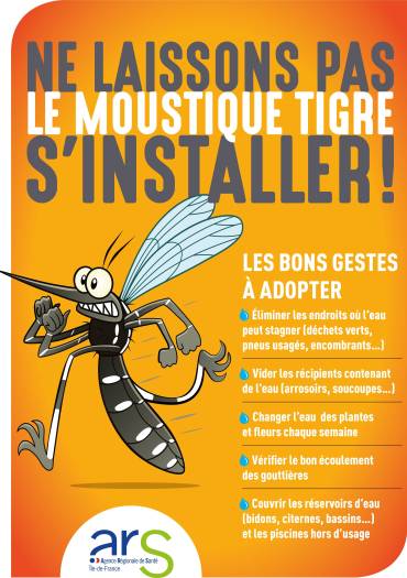 Ne laissons pas le moustique tigre s'installer