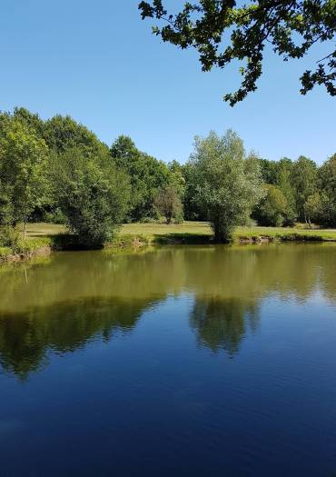 Etangs de pêche de Romainville