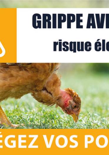 Grippe aviaire