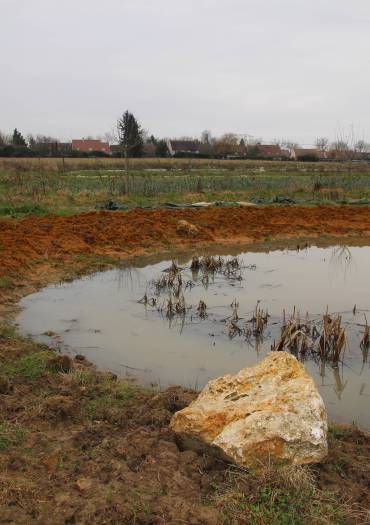 Mares : des zones de micro-habitats