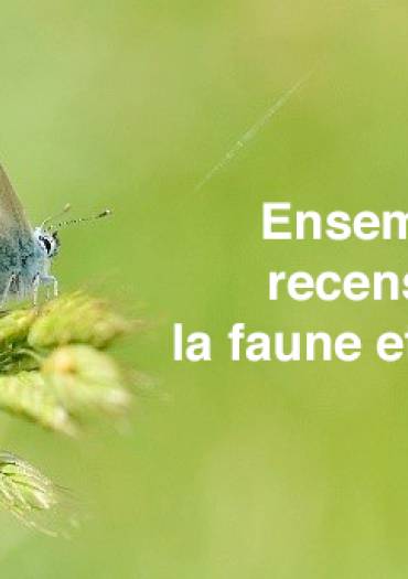 Ensemble, recensons la faune et la flore