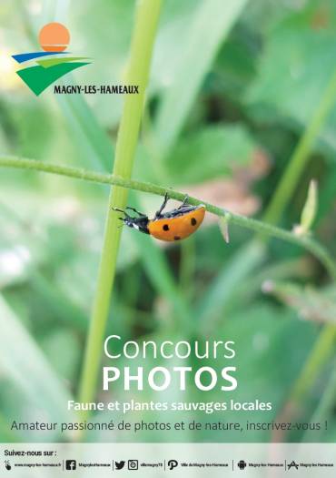 Concours photos faune et flore locales