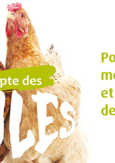 Poules pour réduire les déchets