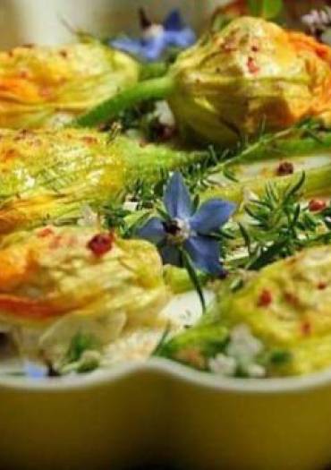 Fleurs de courgettes facies