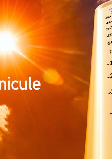 Plan canicule