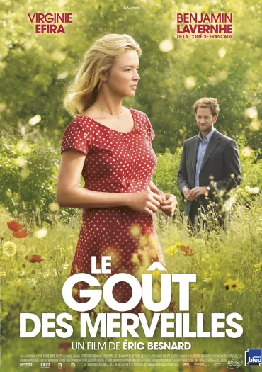 Affiche du film LE GOÛT DES MERVEILLES