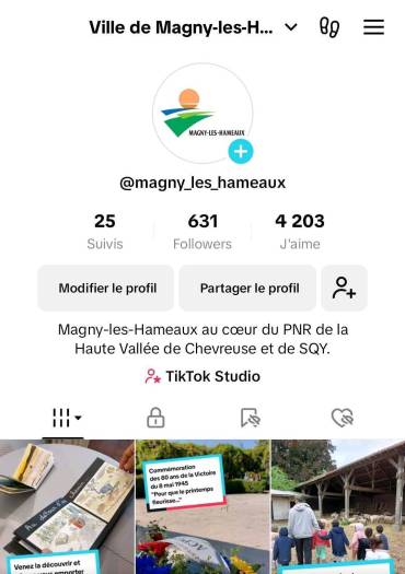 TikTok de Magny-les-Hameaux