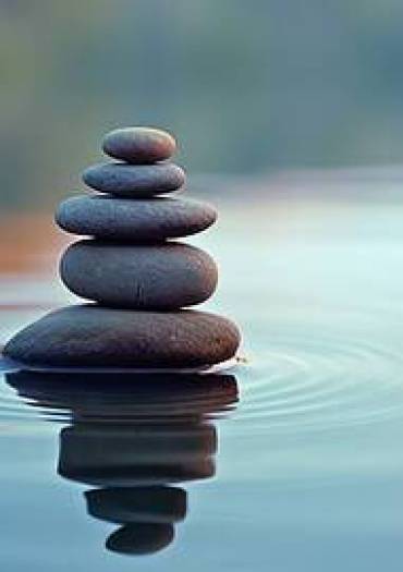 zeN 
