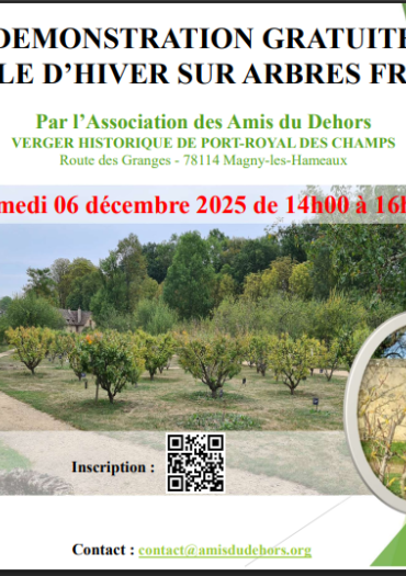 Démonstration taille hiver verger 06 12 2025