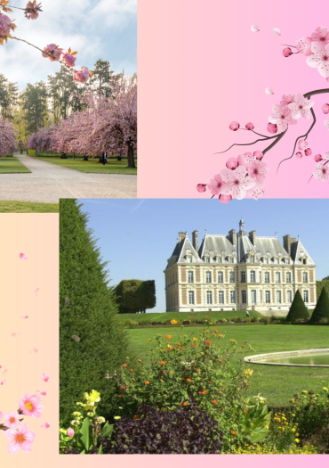 Visite château de sceau