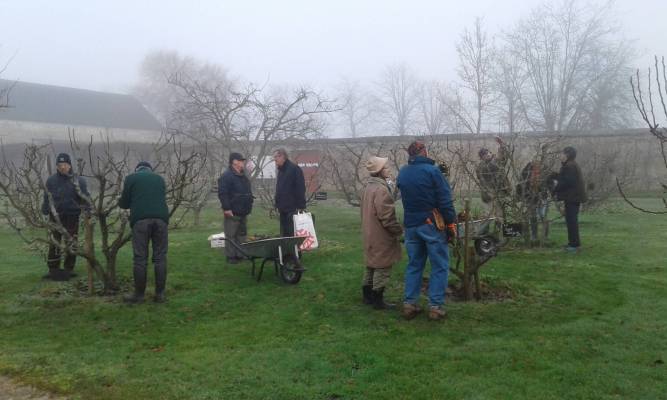 Amis du dehors taille d'hiver