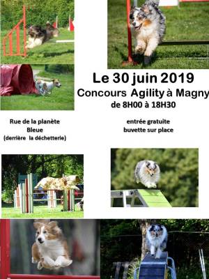 Concours annuel d'agility