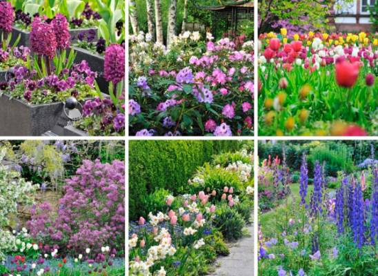 Bon plan pour fleurir son jardin !