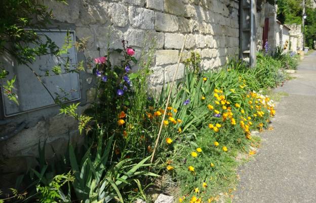 Trottoir fleuri