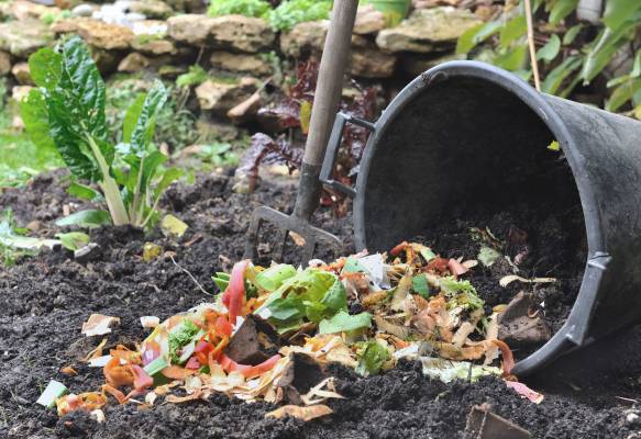 compost