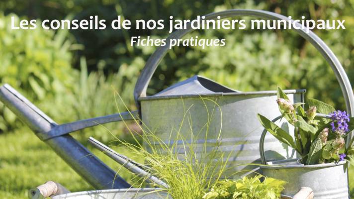 Conseils des jardiniers