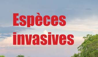 Espèces invasives