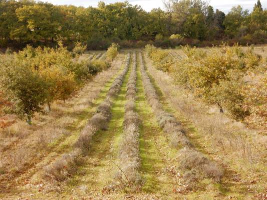 exemple d'agroécologie