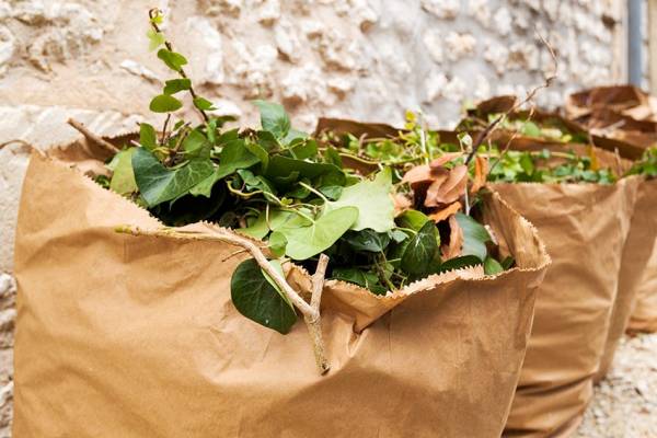 Distribution des sacs à déchets verts