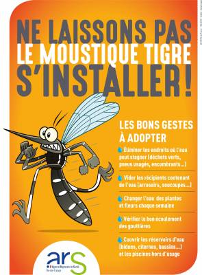 Ne laissons pas le moustique tigre s'installer