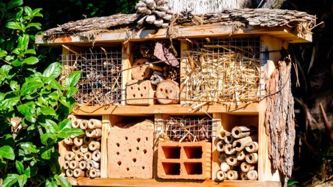 hotel à insectes