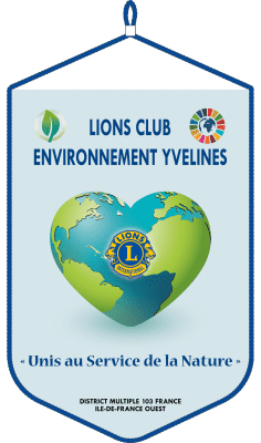 Fanion Lions Club Environnement Yvelines