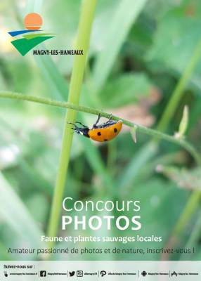 Concours photos faune et flore locales 2022